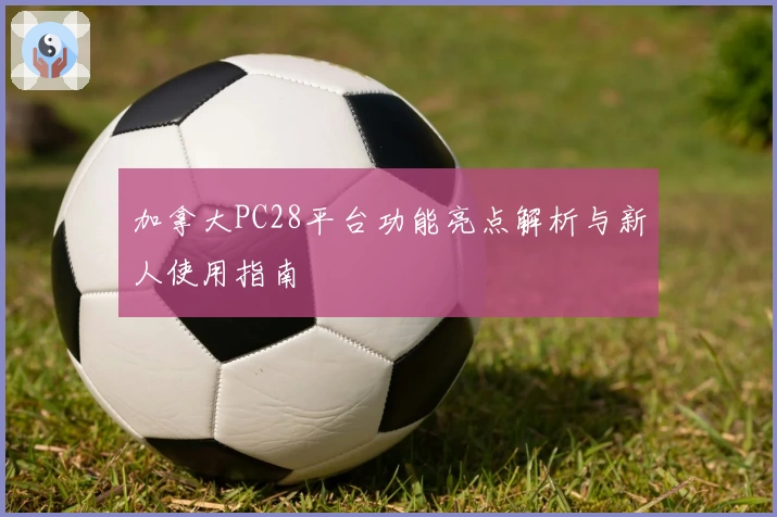 加拿大PC28平台功能亮点解析与新人使用指南
