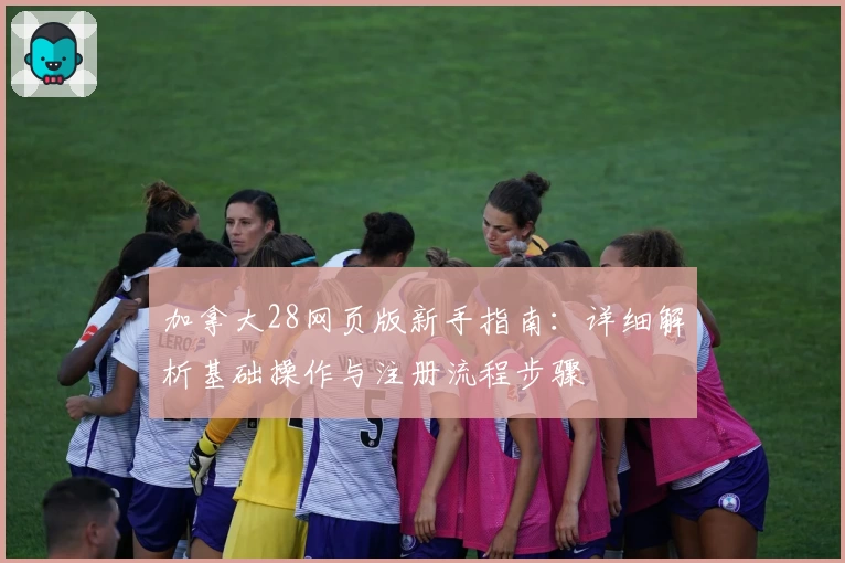 加拿大28网页版新手指南：详细解析基础操作与注册流程步骤