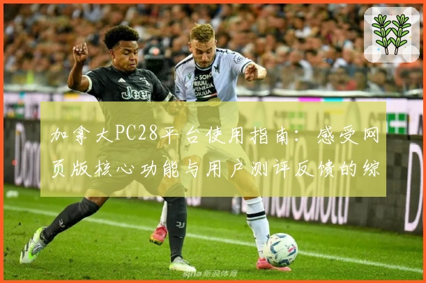 加拿大PC28平台使用指南：感受网页版核心功能与用户测评反馈的综合解析