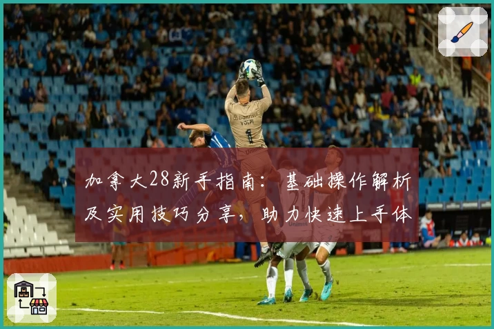 加拿大28新手指南：基础操作解析及实用技巧分享，助力快速上手体验