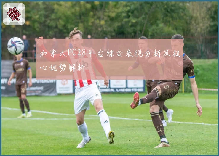 加拿大PC28平台综合表现分析及核心优势解析