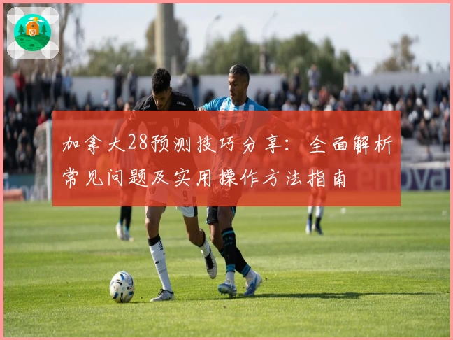 加拿大28预测技巧分享：全面解析常见问题及实用操作方法指南