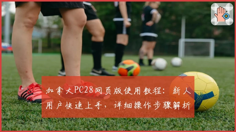 加拿大PC28网页版使用教程：新人用户快速上手，详细操作步骤解析