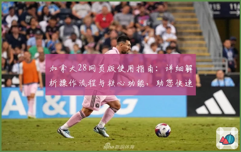 加拿大28网页版使用指南：详细解析操作流程与核心功能，助您快速上手