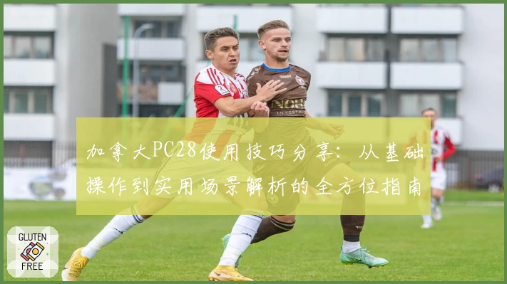 加拿大PC28使用技巧分享：从基础操作到实用场景解析的全方位指南